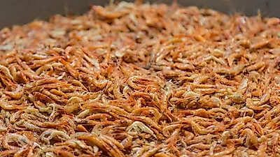 배춧값 10% 내렸는데 새우젓 32% 올라…김장 재료값 엇갈려