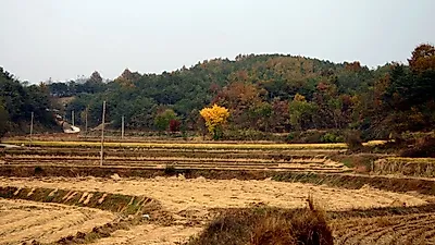 고향사랑기부 작년 1515억…롯데, 연말까지 쿠폰 혜택 추가