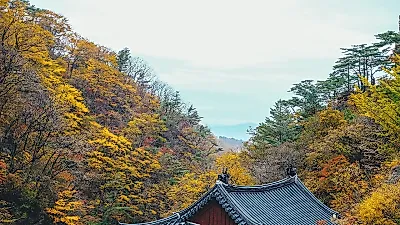 여행가는 가을 11월 30일까지…숙박 8만 장·티맵 최대 3만 포인트