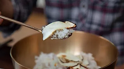 송이 흉작 속 봉화송이축제 18일 폐막…초기 공판량 전년 6분의 1