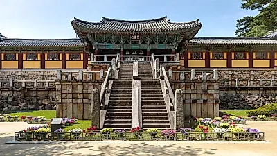 초등 수학여행 실시율 47.8%…정부, 교사·업계와 해법 찾는다
