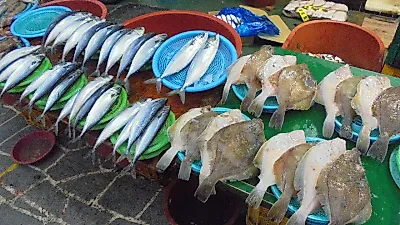 수산페스타 28일 시작…할인 한도·원산지 챙기세요
