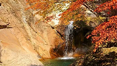 단풍 절정 설악산 10월 20일·내장산 11월 4일…주말 일정 점검