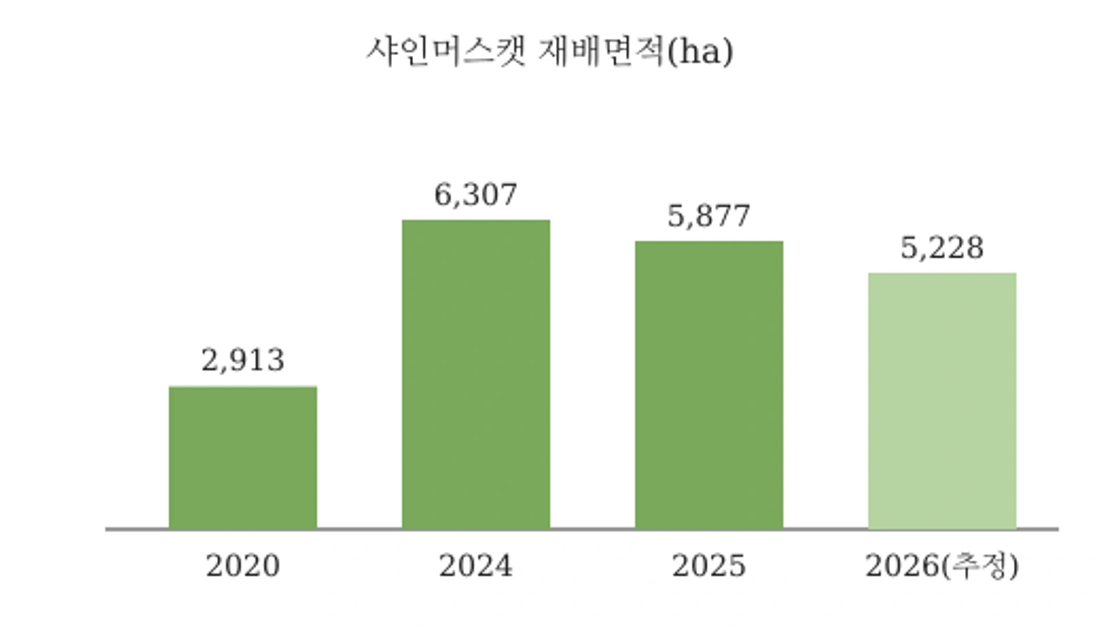 샤인머스캣 재배면적 추이(단위 ha, 2026년은 추정치) — 자료: 한국농촌경제연구원