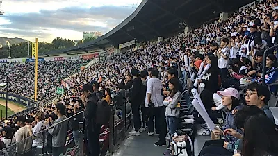 가을야구 암표 의심자 31명 수사 의뢰…청약액 7억2800만 원