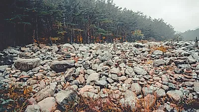 오대산 올가을 첫 단풍 절정…설악산 20일 전후 절정 전망