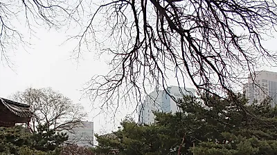 정동야행 30~31일, 예약 없이 걷는 가을밤 여행