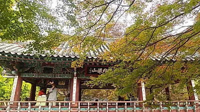 단풍 절정 설악산 10월 20일, 내장산 11월 4일…남부는 11월 중순까지
