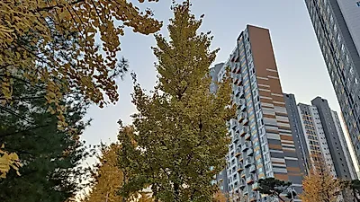 국세청장 "상속세 공제 현실화 공감"…일괄·배우자공제 5억원, 1997년 이후 그대로