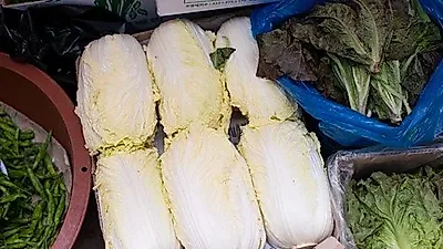 배춧값 1년 전보다 6.5% 내렸지만 무 33%·새우젓 23% 올라…엇갈린 김장 물가