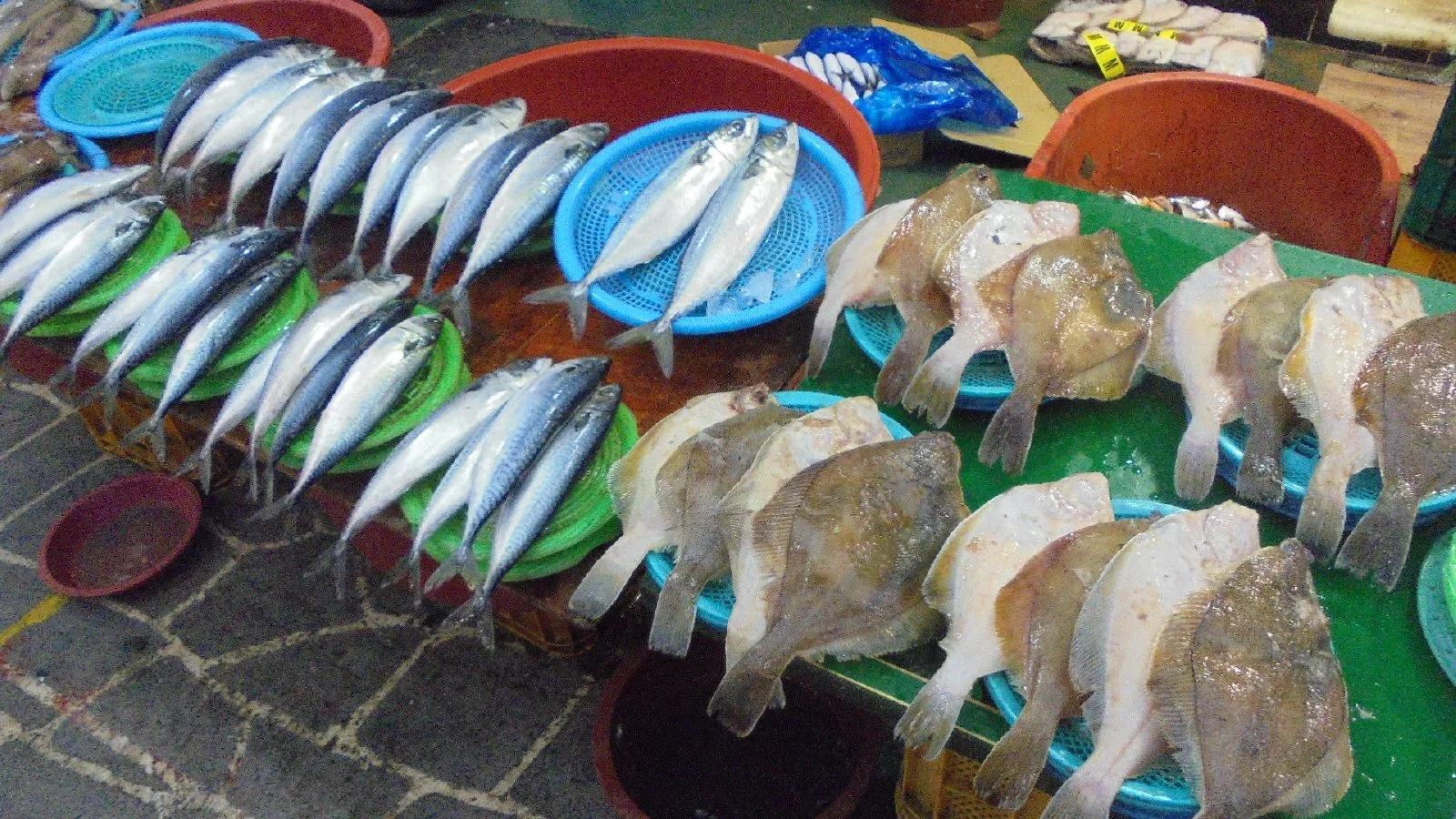 시장 좌판에 여러 종류의 생선이 진열돼 있다
