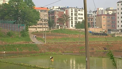 15일 여성농업인의 날…'농업ON' 전용 메뉴 신설, 공동경영주 명문화 논의 이어져