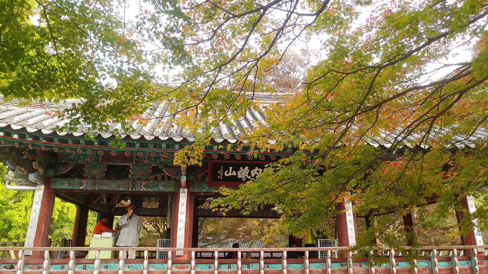 내장산의 단풍